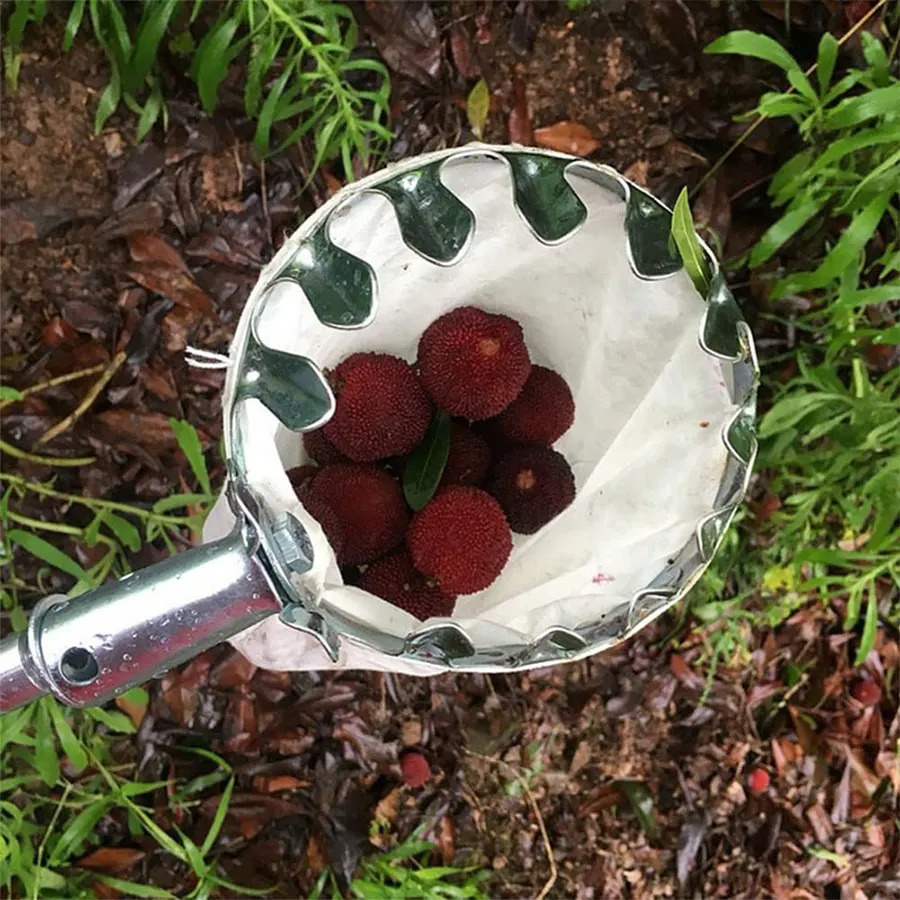 Gardening Tools Gifts - 3-in-1 Fruit Harvesting Tool Set for