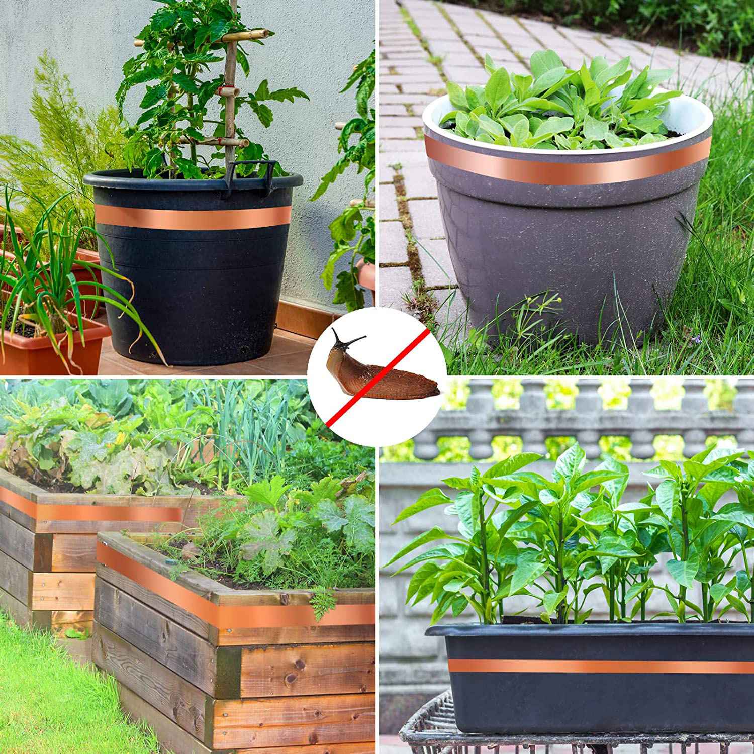 Gardening Hand Tools B&Q - KEKA Snail Protection, Copper Tape Against