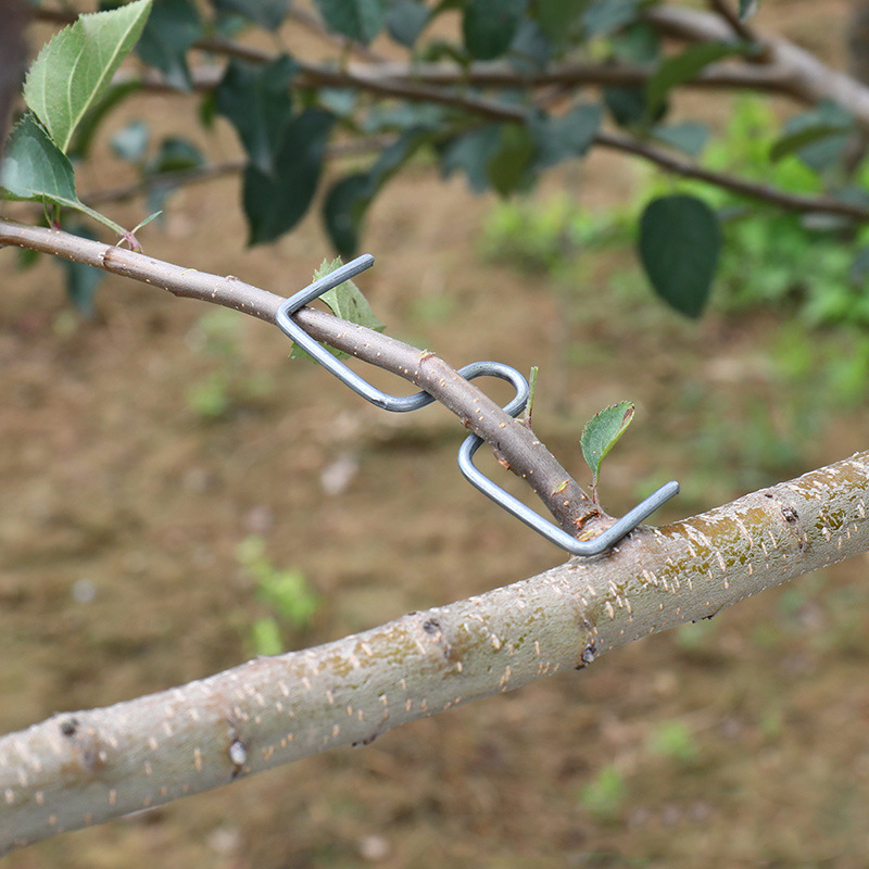 Gardening Tools Bundle - 30pcs/set Fruit Tree Branch Puller Hook