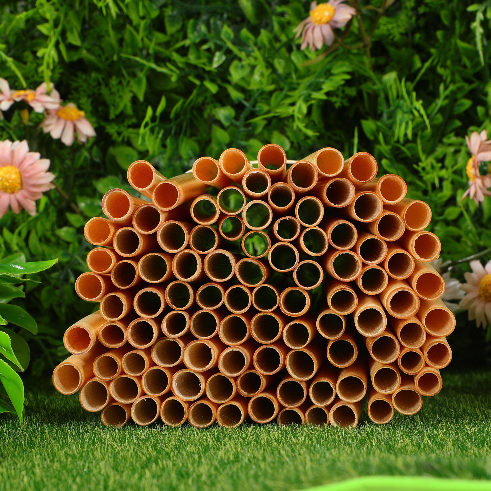 100Pcs Natural Reed Bee Tubes  - Gardening Tools Youtube บทวิจารณ์และราคา