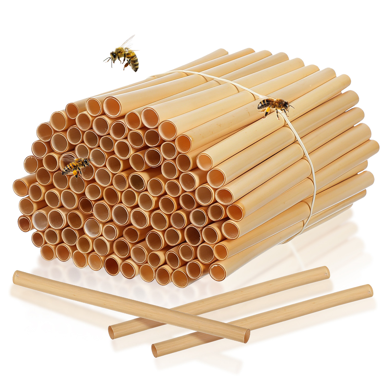 100Pcs Natural Reed Bee Tubes  - Gardening Tools Youtube บทวิจารณ์และราคา