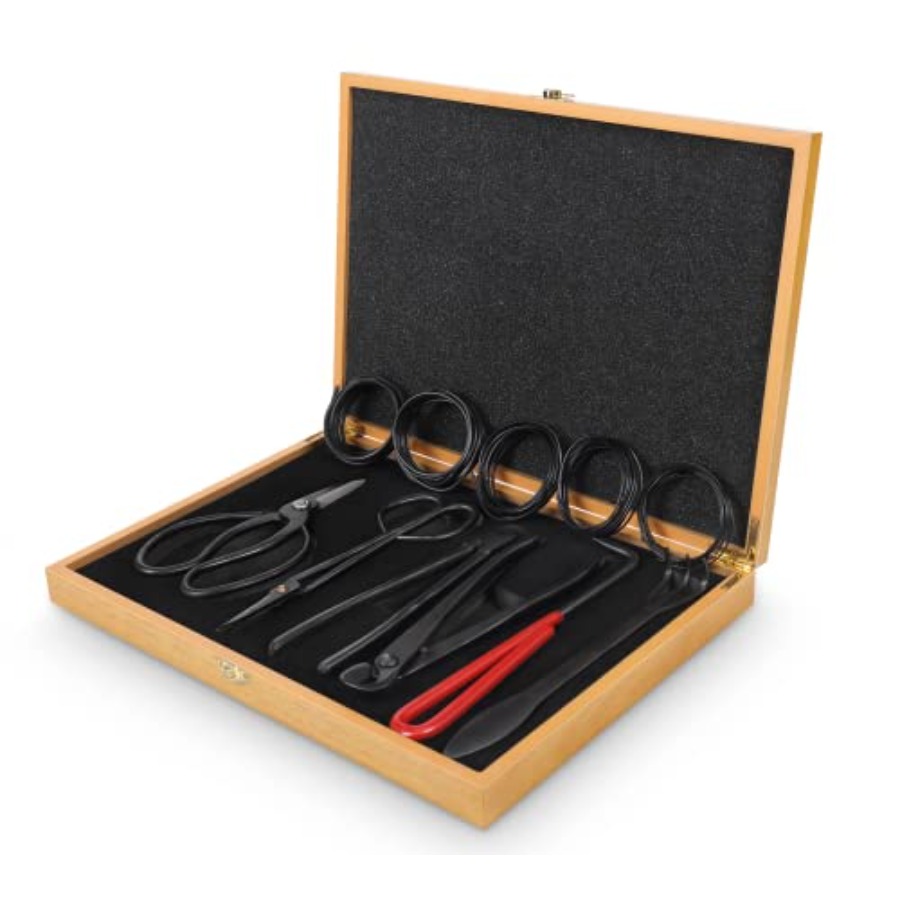 Bonsai Tools Set with Wood Box - Bonsai Tool Set บทวิจารณ์และราคา