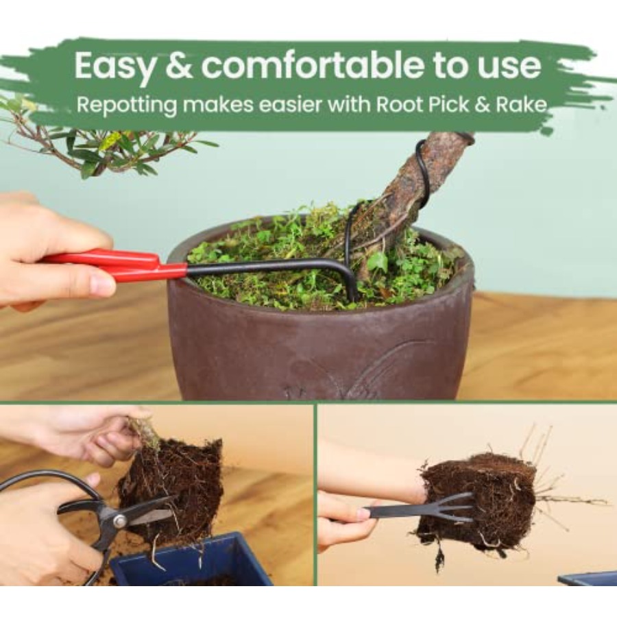 Bonsai Tools Set with Wood Box - Bonsai Tool Set บทวิจารณ์และราคา