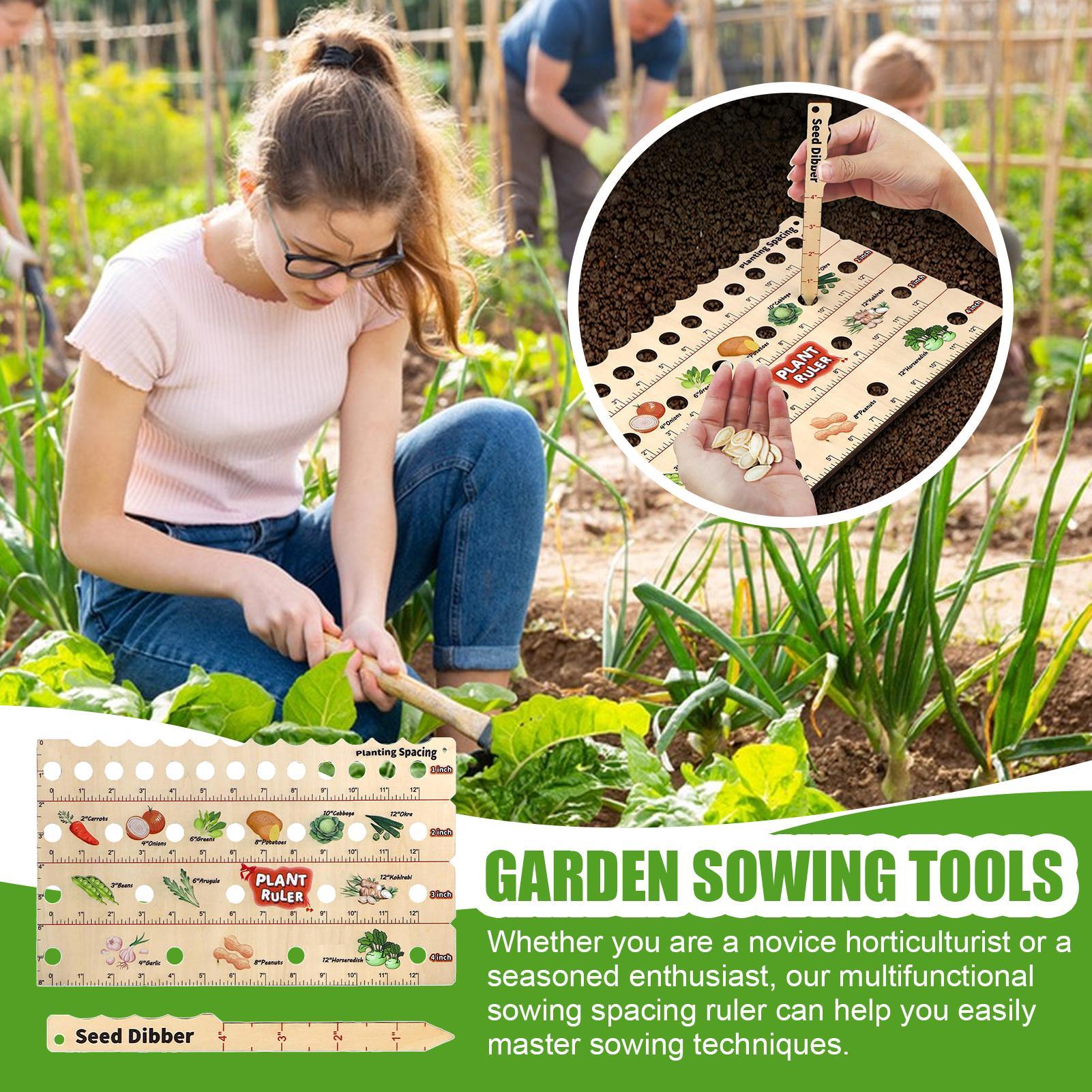 Wooden Plant Spacing Ruler Gar - Gardening Tools Wooden บทวิจารณ์และราคา