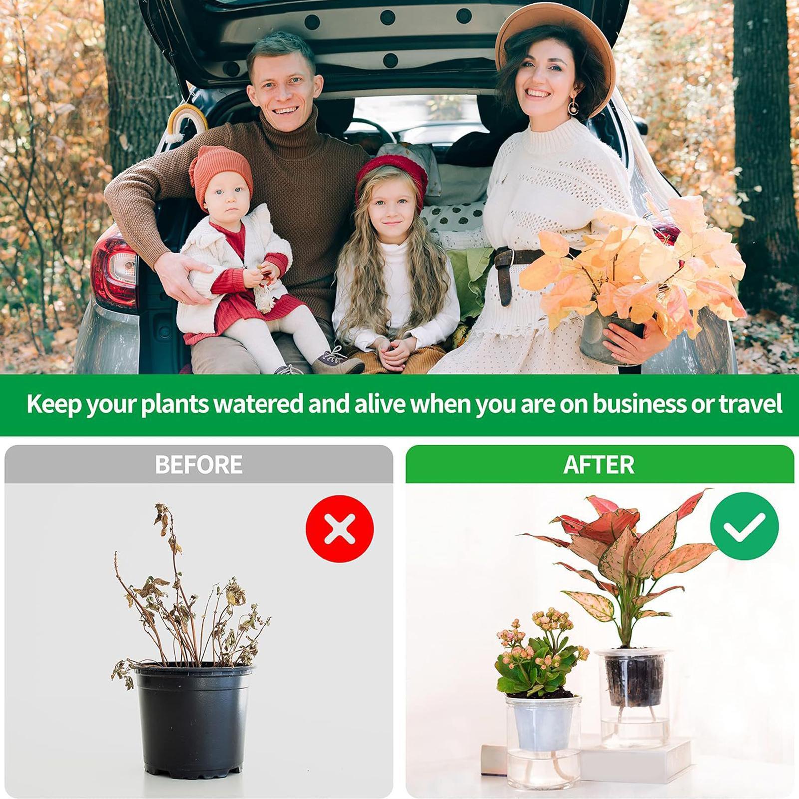 Plant Wicks For Self Watering  - Automatic Plant Waterer บทวิจารณ์และราคา