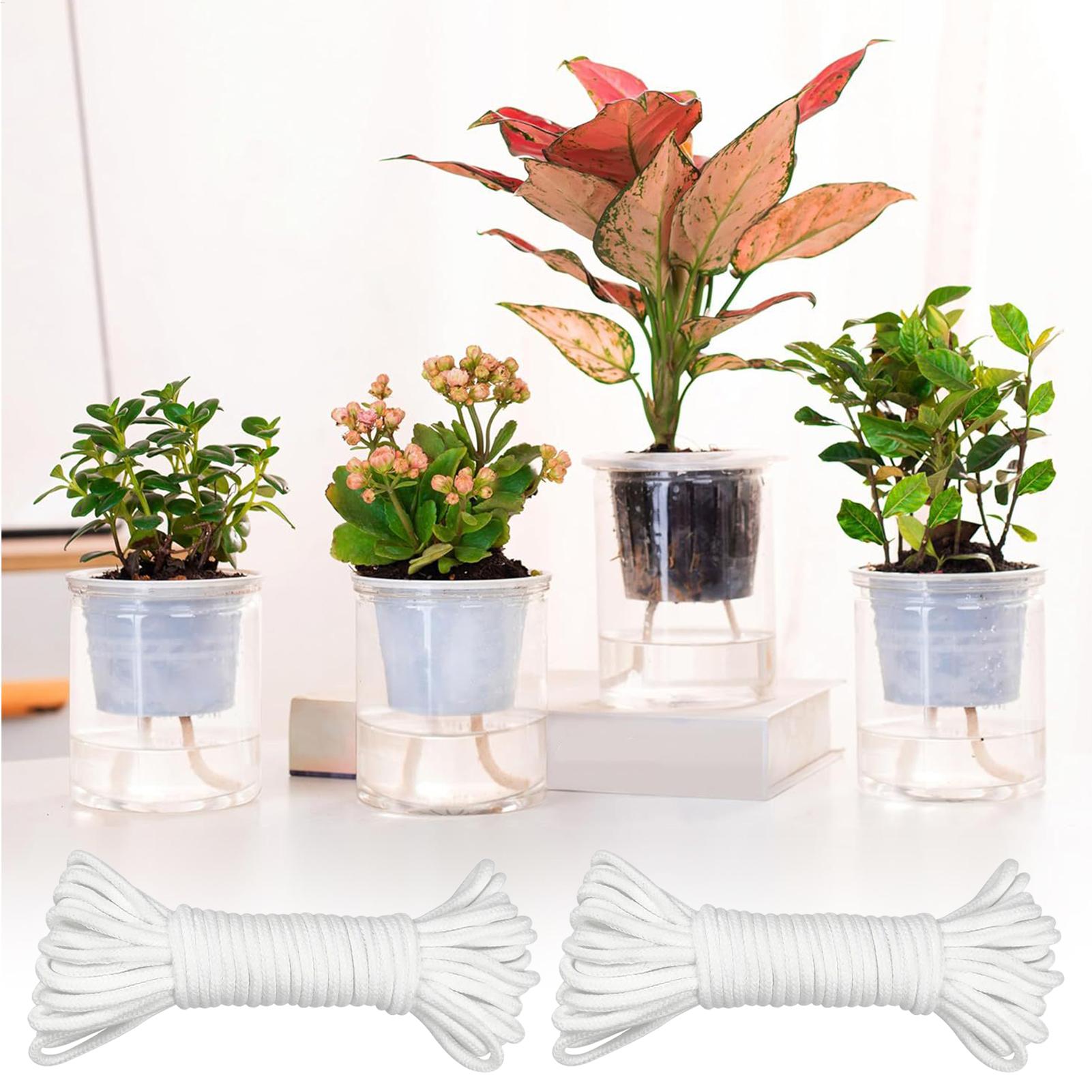 Plant Wicks For Self Watering  - Automatic Plant Waterer บทวิจารณ์และราคา