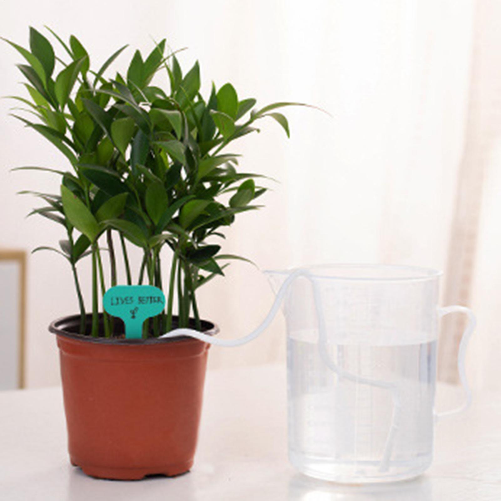 Plant Wicks For Self Watering  - Automatic Plant Waterer บทวิจารณ์และราคา