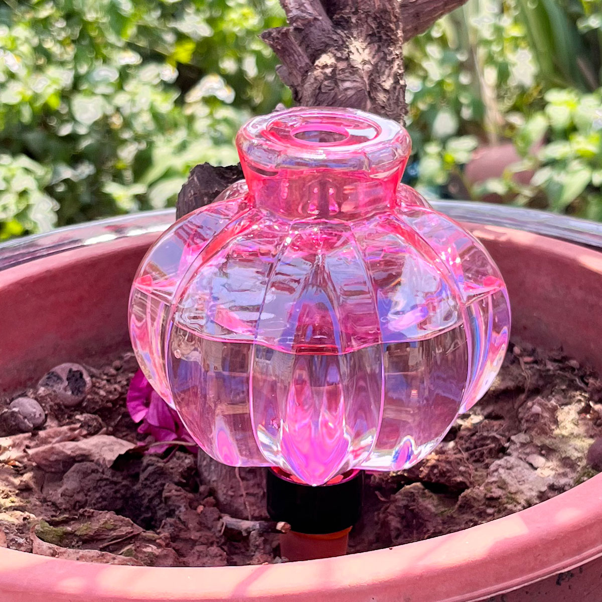 2pcs Self Watering Drip Irriga - Automatic Plant Waterer บทวิจารณ์และราคา