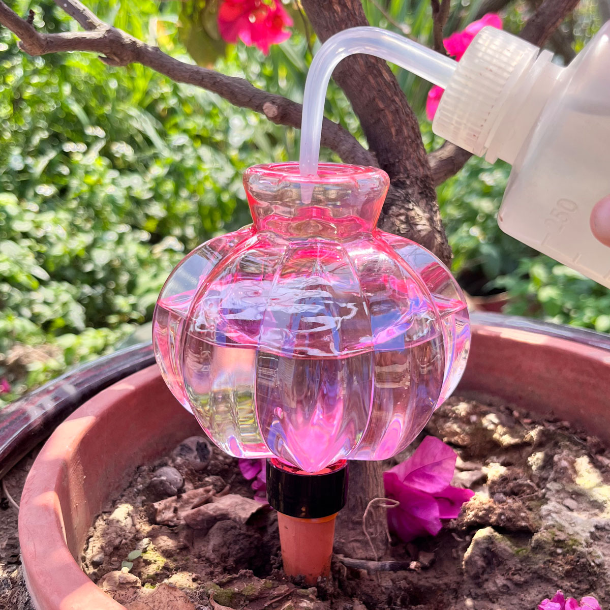 2pcs Self Watering Drip Irriga - Automatic Plant Waterer บทวิจารณ์และราคา
