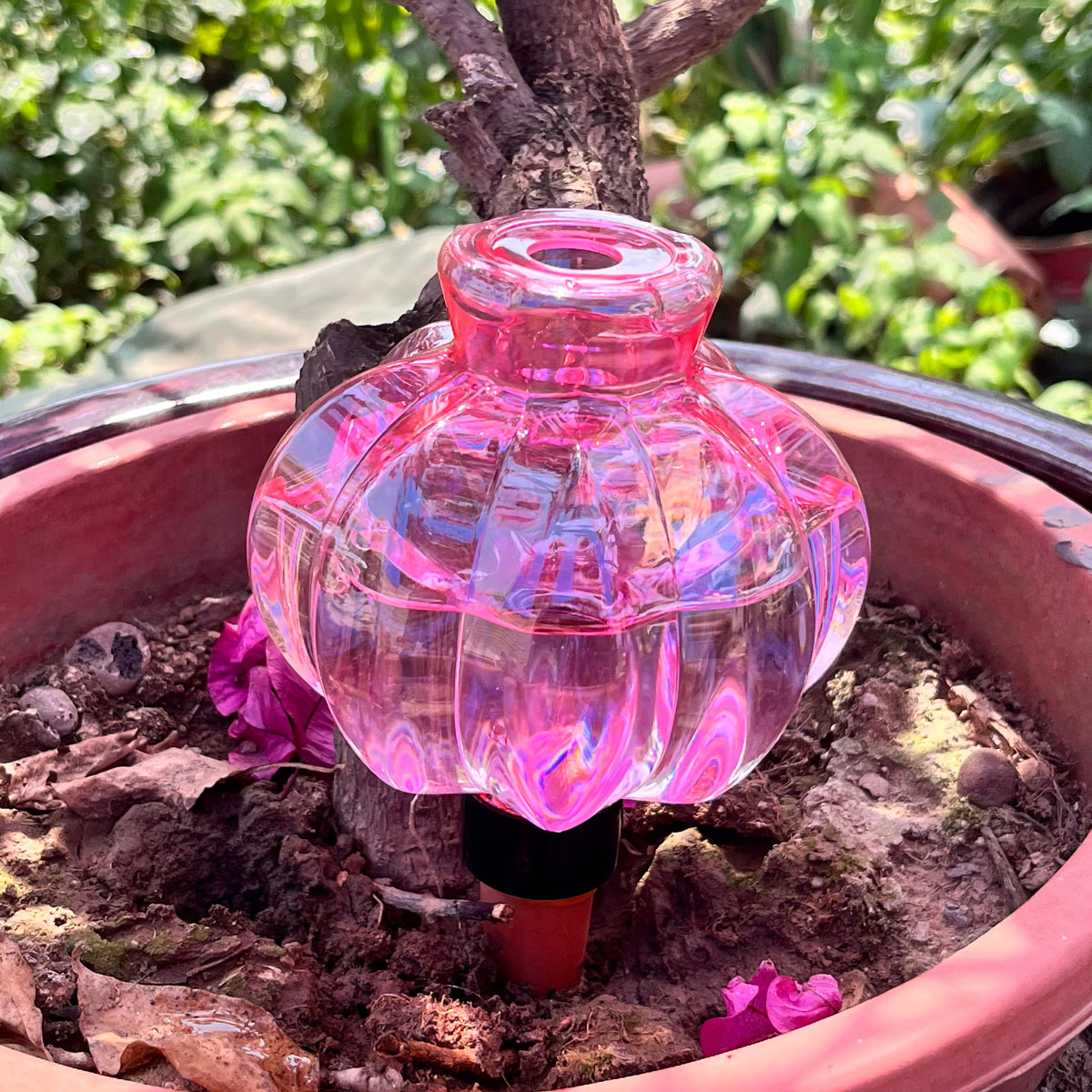 2pcs Self Watering Drip Irriga - Automatic Plant Waterer บทวิจารณ์และราคา