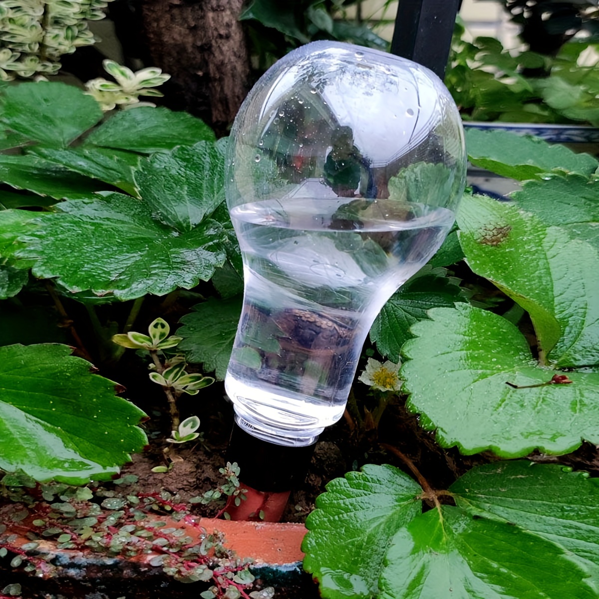 Garden Automatic Watering Tool - Gardening Tools And Accessories บทวิจารณ์และราคา