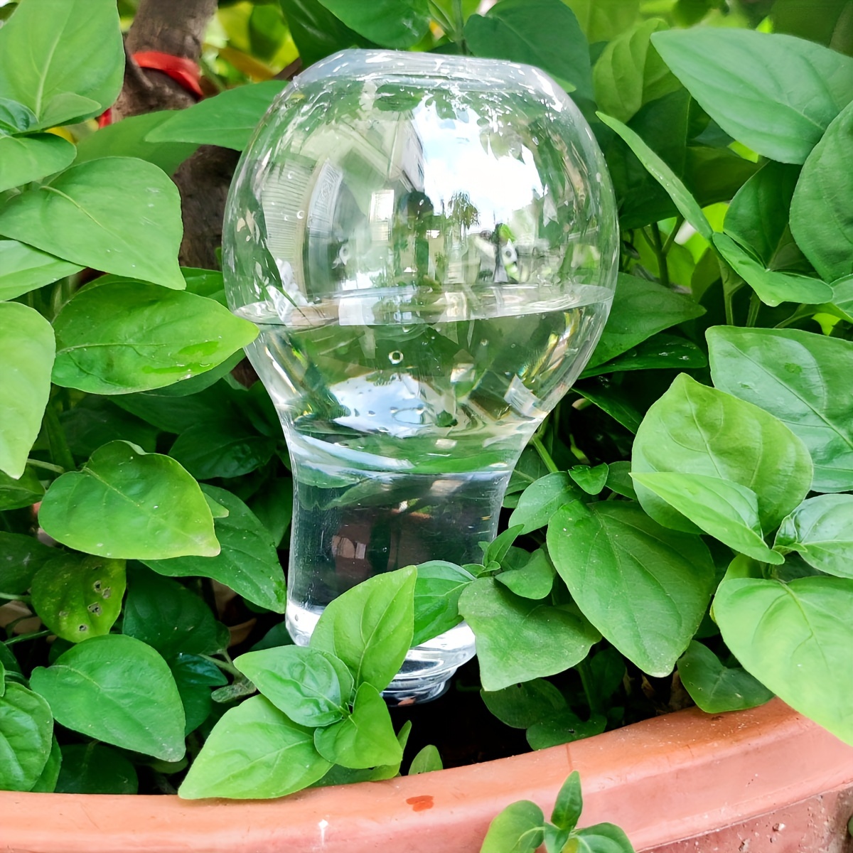 Garden Automatic Watering Tool - Gardening Tools And Accessories บทวิจารณ์และราคา