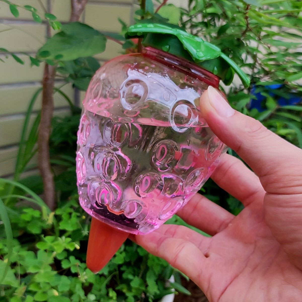 2 Pcs Automatic Watering Tool  - Automatic Plant Waterer บทวิจารณ์และราคา