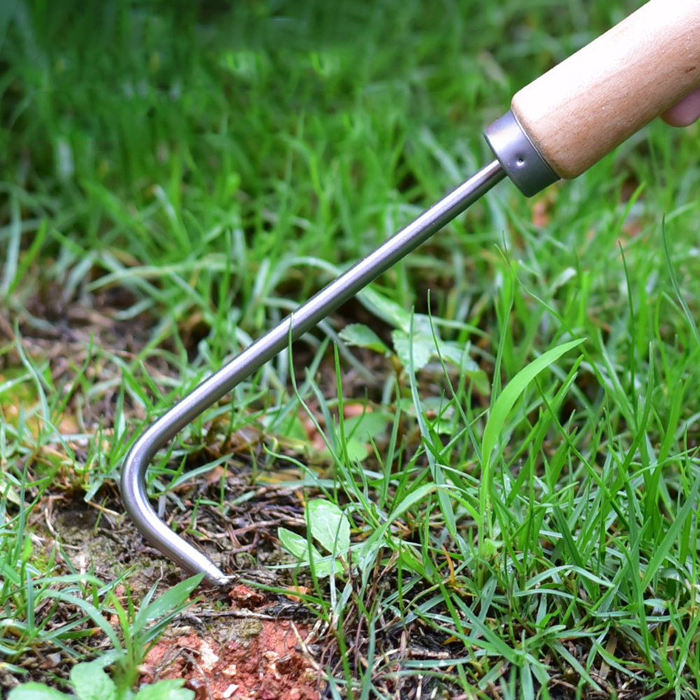 1PC Single Claw Hook Soil Loos - Gardening Tools Gifts บทวิจารณ์และราคา