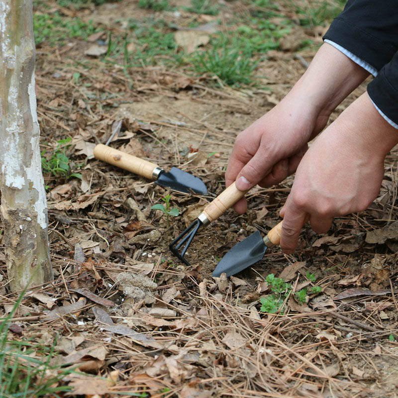 3Pcs/Set Mini Garden Tool Set  - Gardening Tools Gifts บทวิจารณ์และราคา