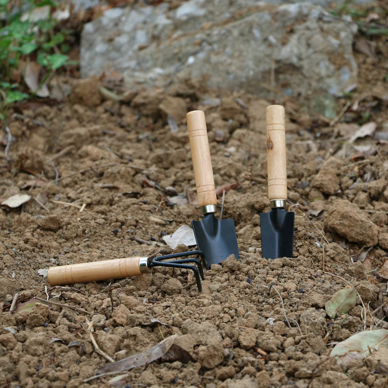 3Pcs/Set Mini Garden Tool Set  - Gardening Tools Gifts บทวิจารณ์และราคา