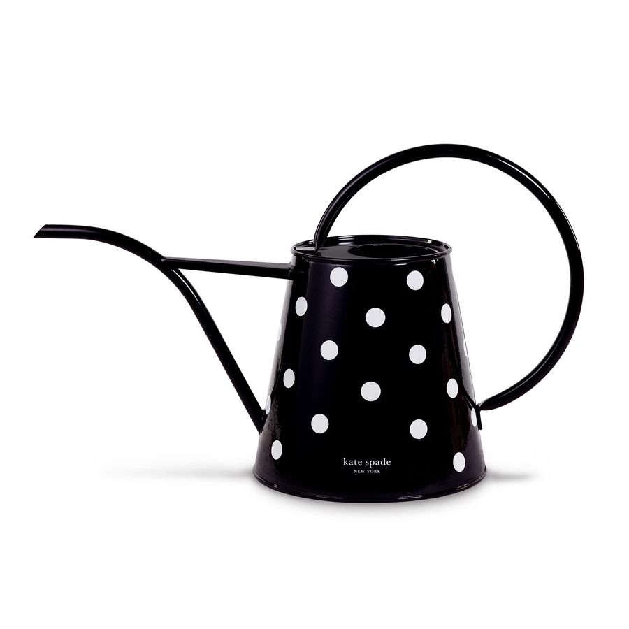 2.5 Liter Indoor Watering Can, - Gardening Tools For Women บทวิจารณ์และราคา