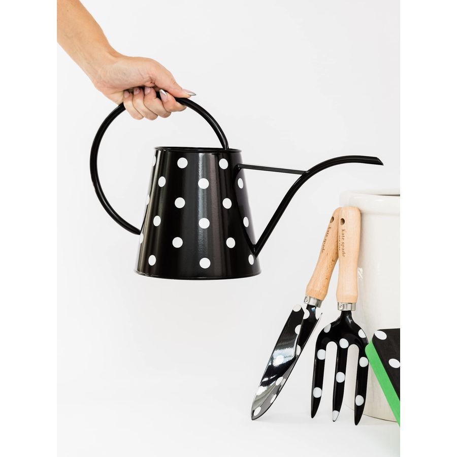 2.5 Liter Indoor Watering Can, - Gardening Tools For Women บทวิจารณ์และราคา