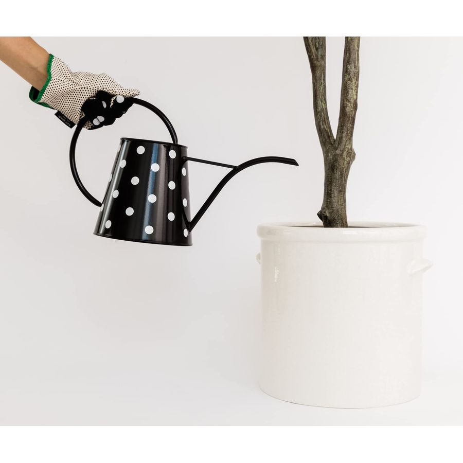 2.5 Liter Indoor Watering Can, - Gardening Tools For Women บทวิจารณ์และราคา