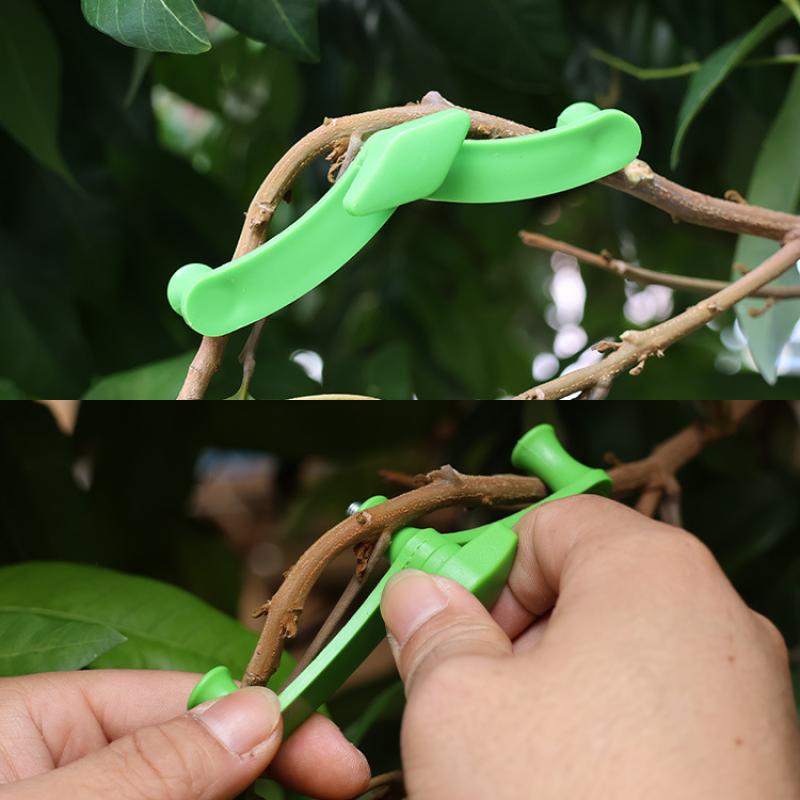 5pcs/set Tree Bending Tool Thi - Bonsai Tool Set บทวิจารณ์และราคา