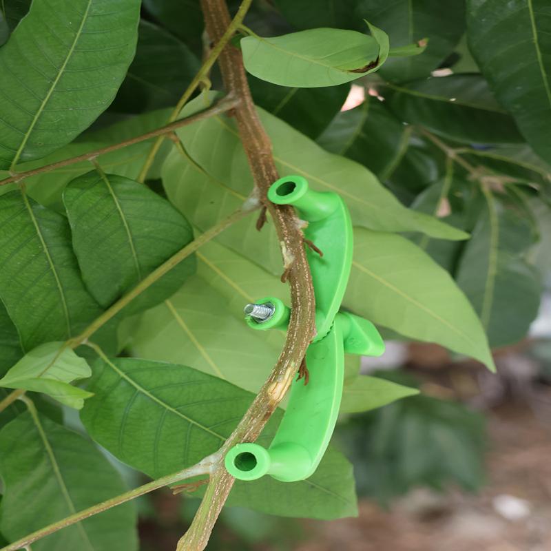 5pcs/set Tree Bending Tool Thi - Bonsai Tool Set บทวิจารณ์และราคา