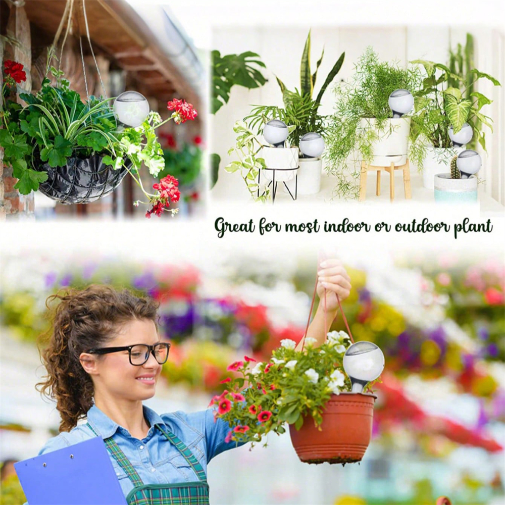 10PCS Watering Globe Clear Aut - Automatic Plant Waterer บทวิจารณ์และราคา