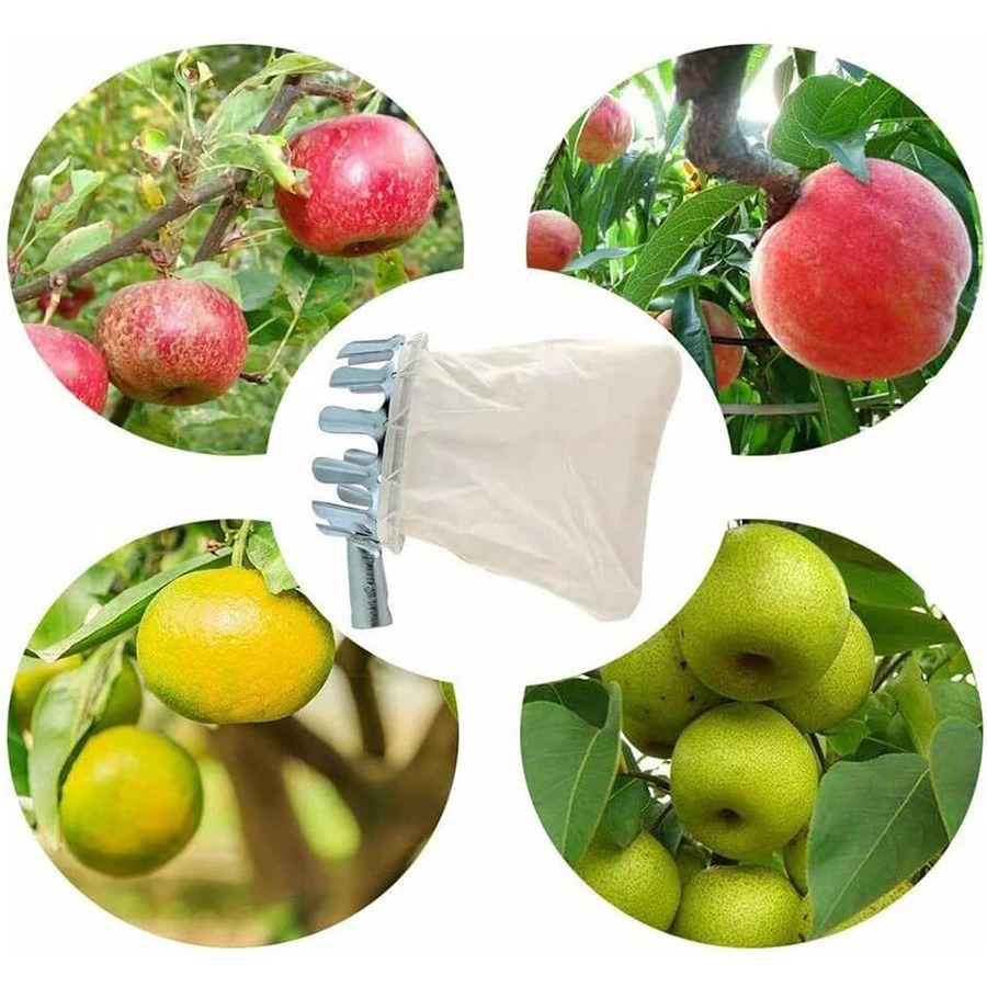 3-in-1 Fruit Harvesting Tool S - Gardening Tools Gifts บทวิจารณ์และราคา