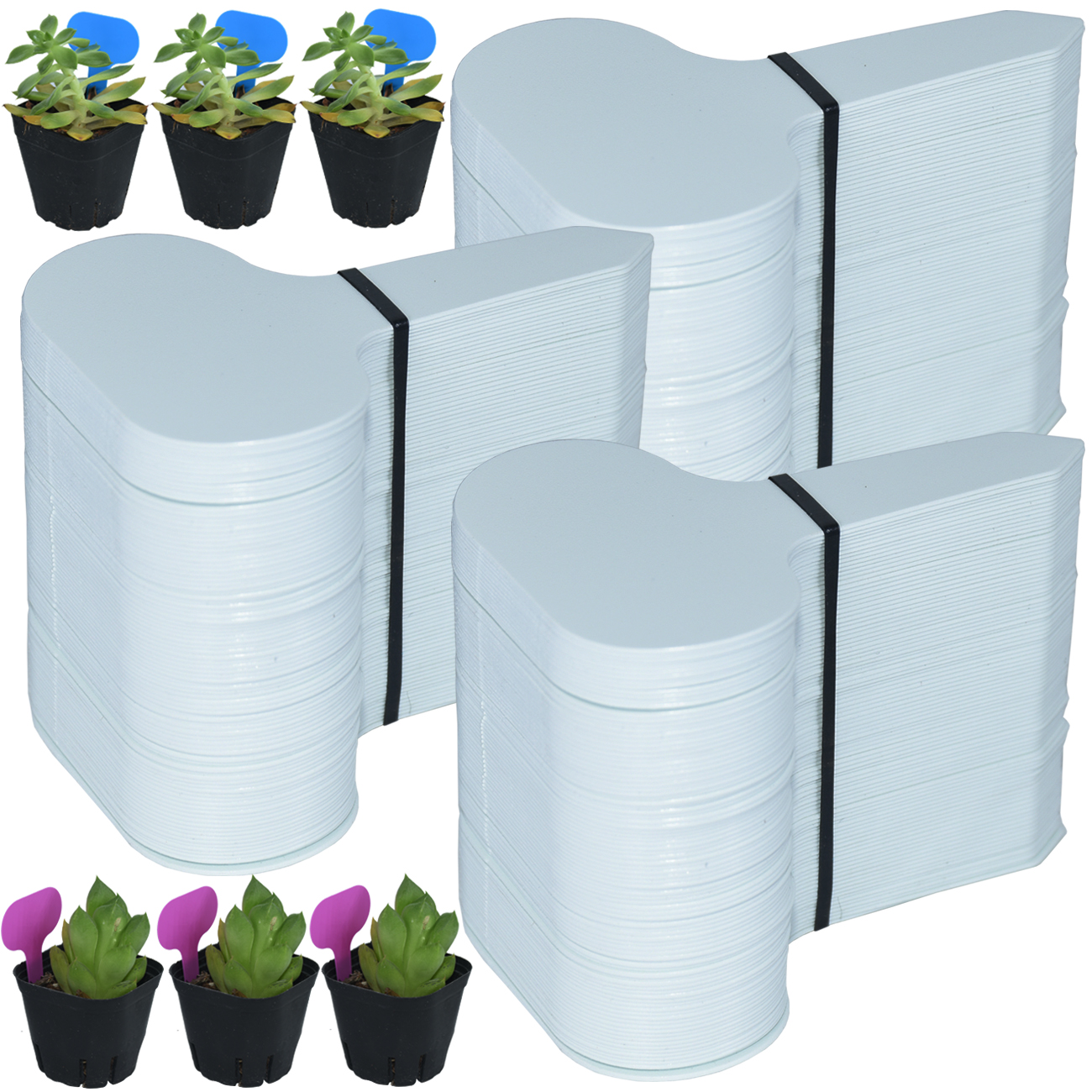 50PCS Garden Plant Labels Mark - Plant Label Tags บทวิจารณ์และราคา