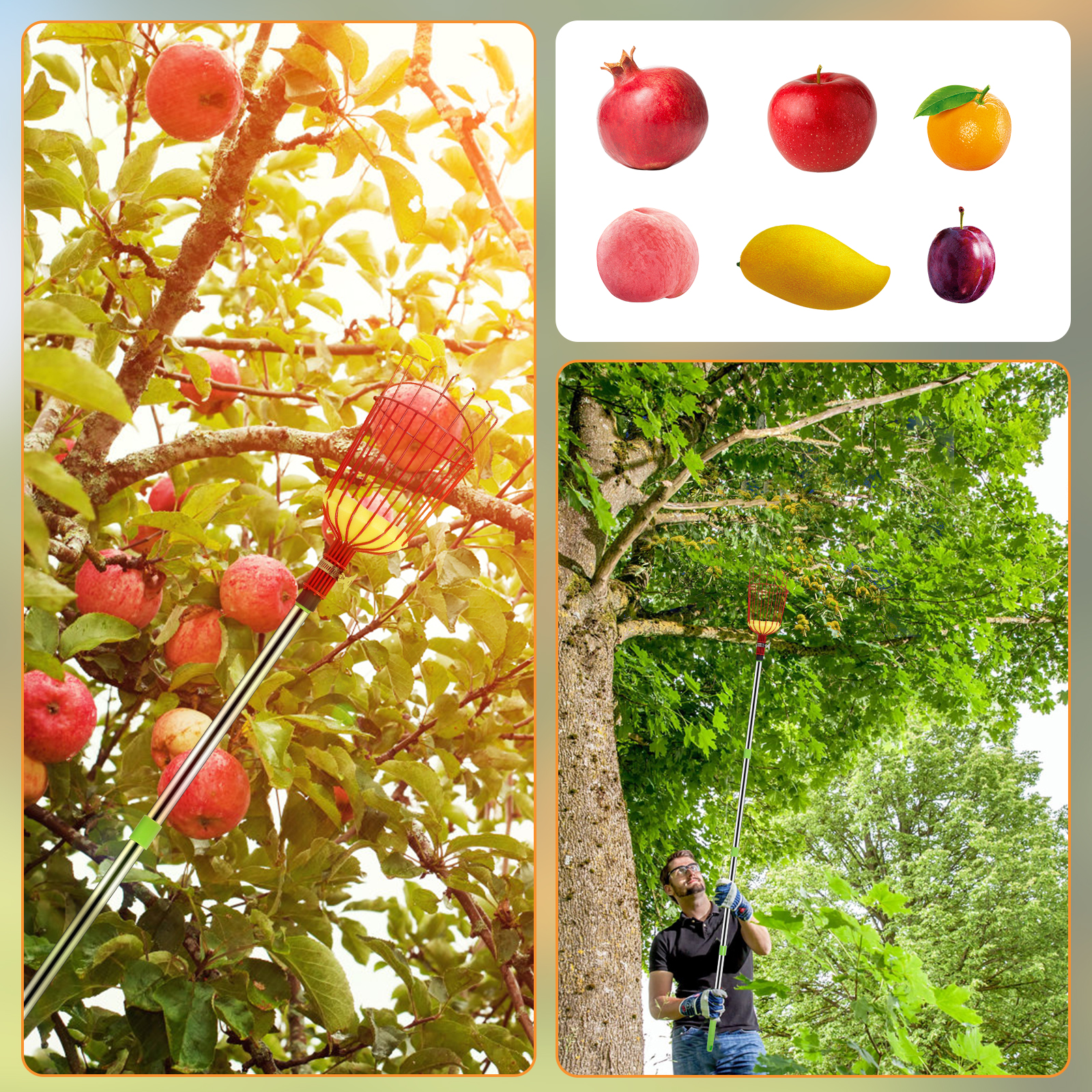 Deep Basket Fruit Picker Catch - Gardening Tools For Women บทวิจารณ์และราคา