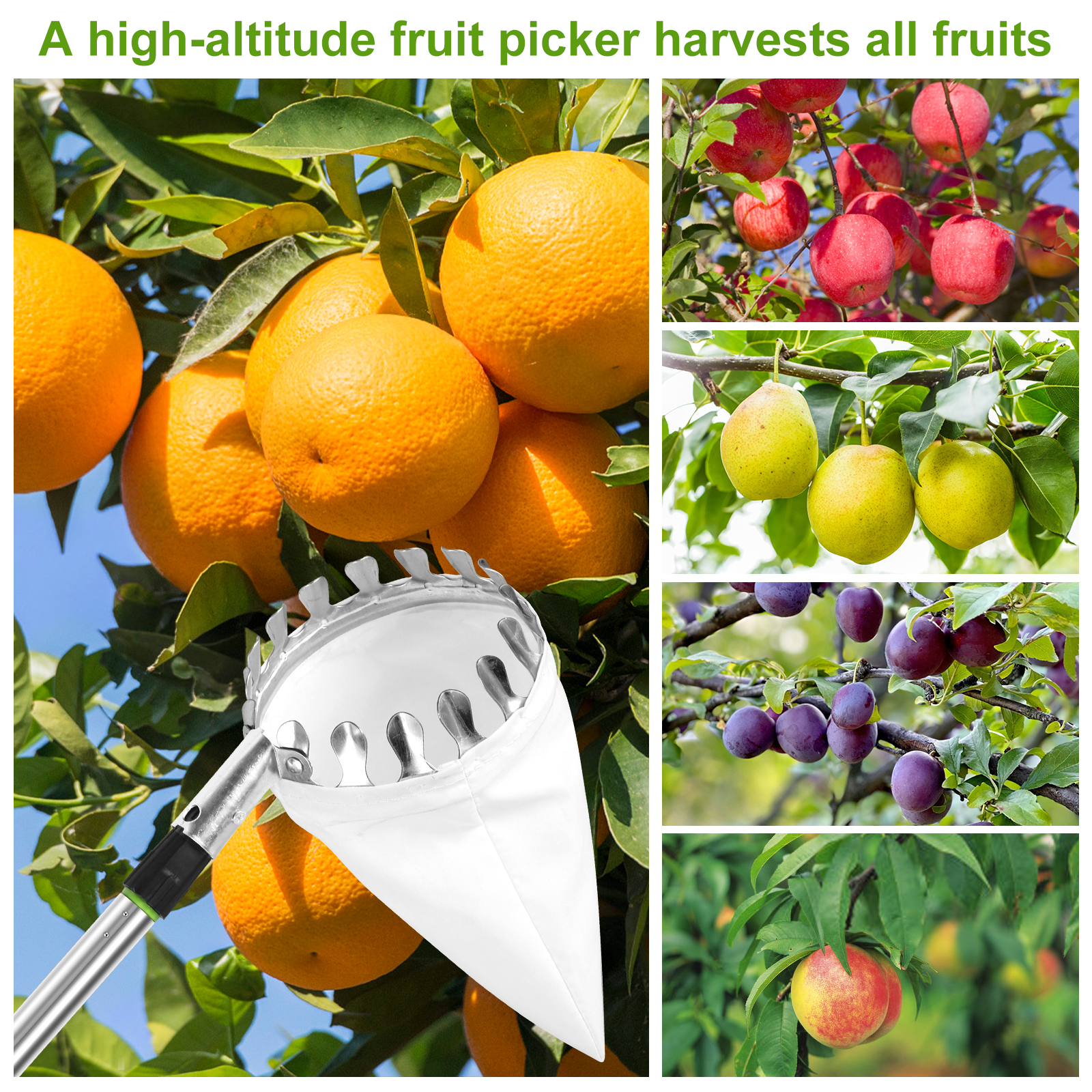 Deep Basket Fruit Picker Catch - Gardening Tools For Women บทวิจารณ์และราคา
