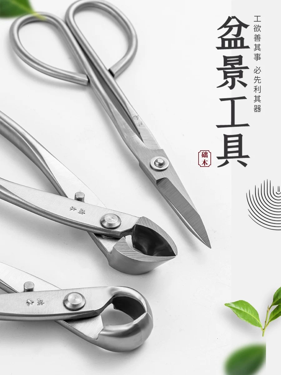 Bonsai Tools Set (3pcs) Branch - Bonsai Tool Set บทวิจารณ์และราคา
