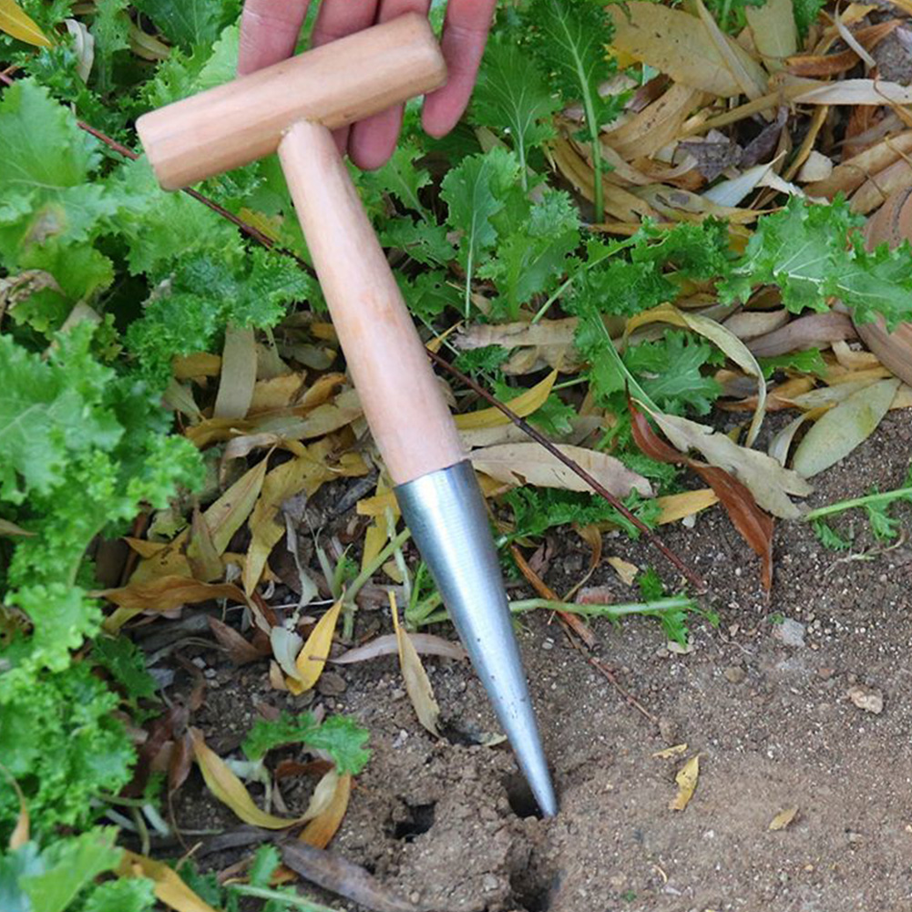 Hand Dibber Garden Tool Stainl - Gardening Tools Wooden บทวิจารณ์และราคา