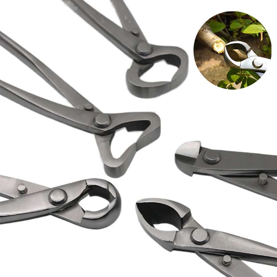 1pcs Stainless Steel Bonsai Pr - Bonsai Tool Set บทวิจารณ์และราคา