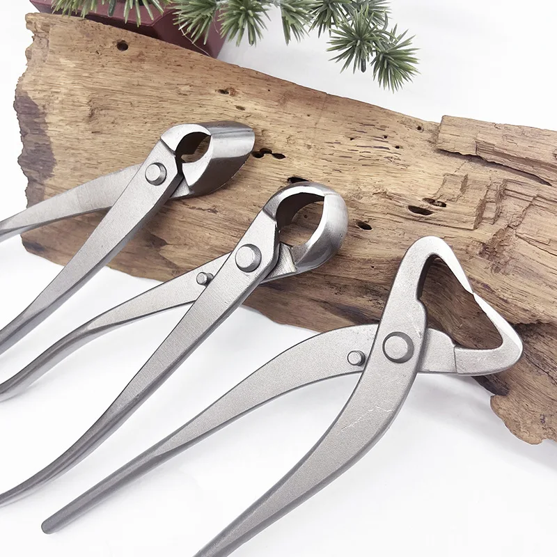 1pcs Stainless Steel Bonsai Pr - Bonsai Tool Set บทวิจารณ์และราคา