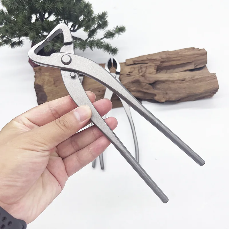 1pcs Stainless Steel Bonsai Pr - Bonsai Tool Set บทวิจารณ์และราคา
