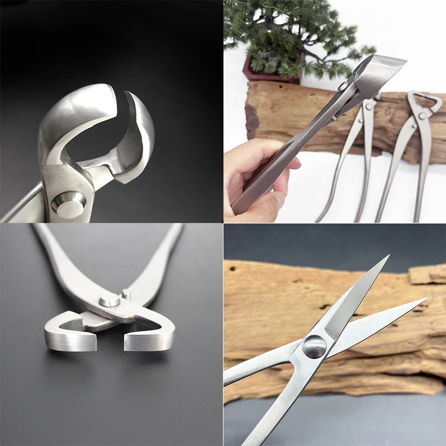 1pcs Stainless Steel Bonsai Pr - Bonsai Tool Set บทวิจารณ์และราคา