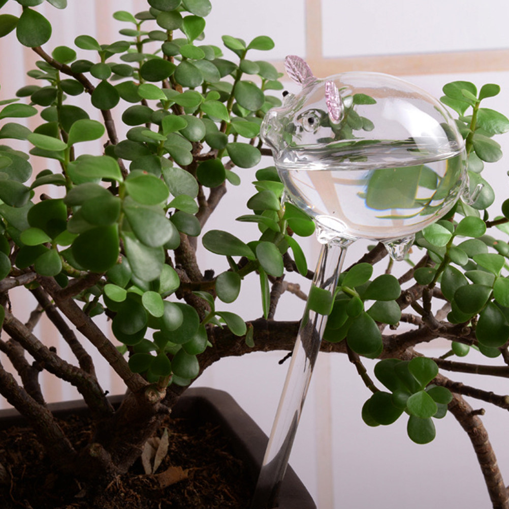 Glass Piggy Automatic Watering - Automatic Plant Waterer บทวิจารณ์และราคา