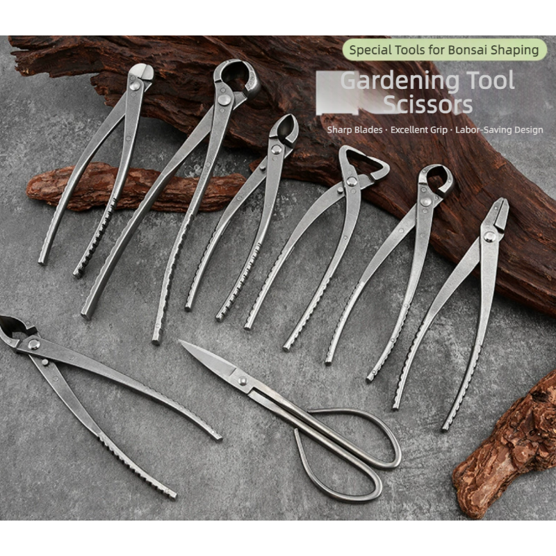 Bonsai Pruning Shears Set Gard - Bonsai Tool Set บทวิจารณ์และราคา