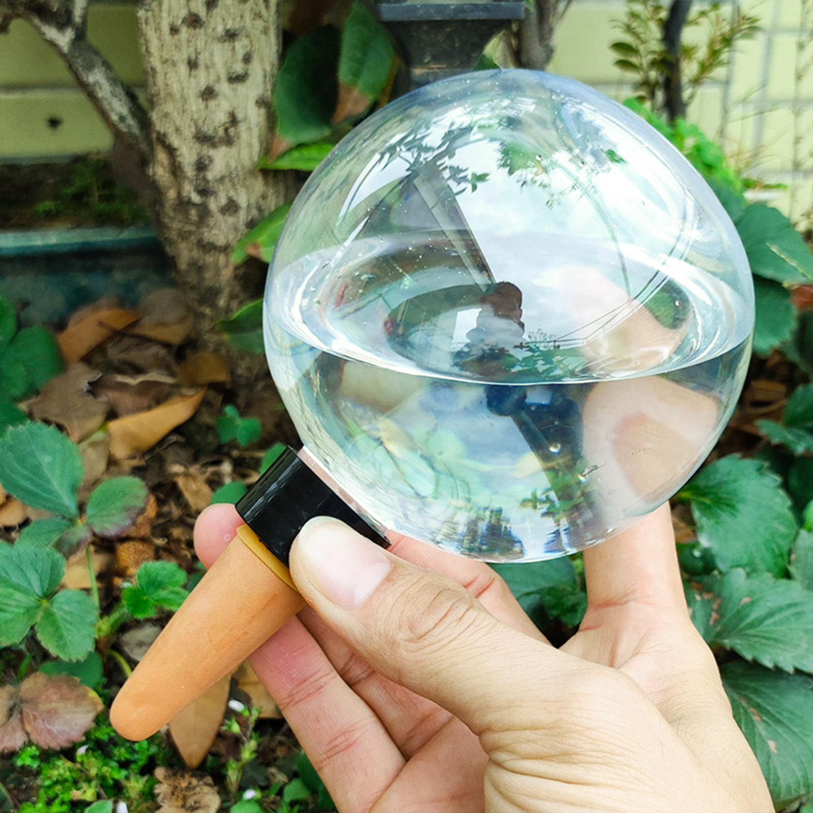 500ML Automatic Plant Watering - Automatic Plant Waterer บทวิจารณ์และราคา