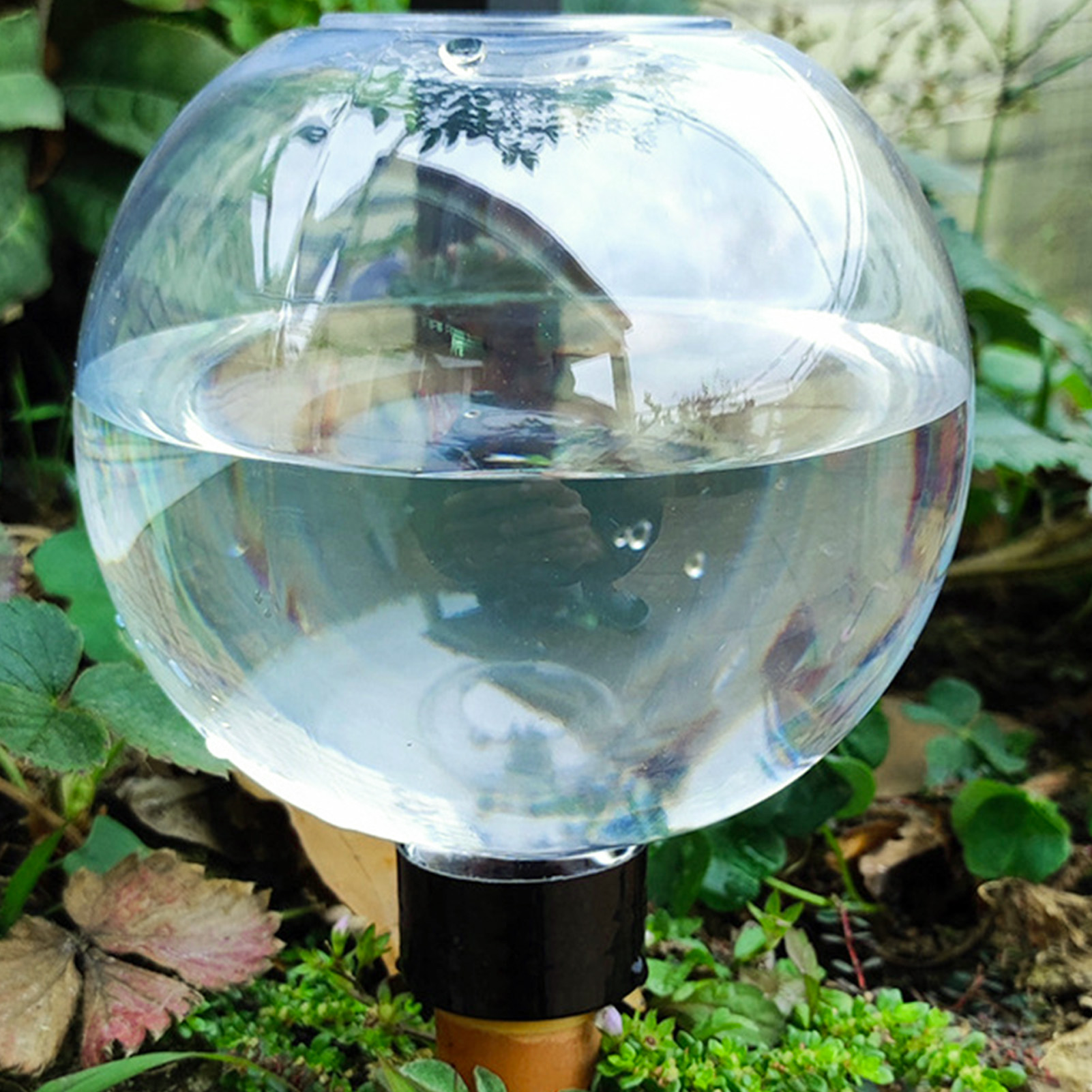 500ML Automatic Plant Watering - Automatic Plant Waterer บทวิจารณ์และราคา