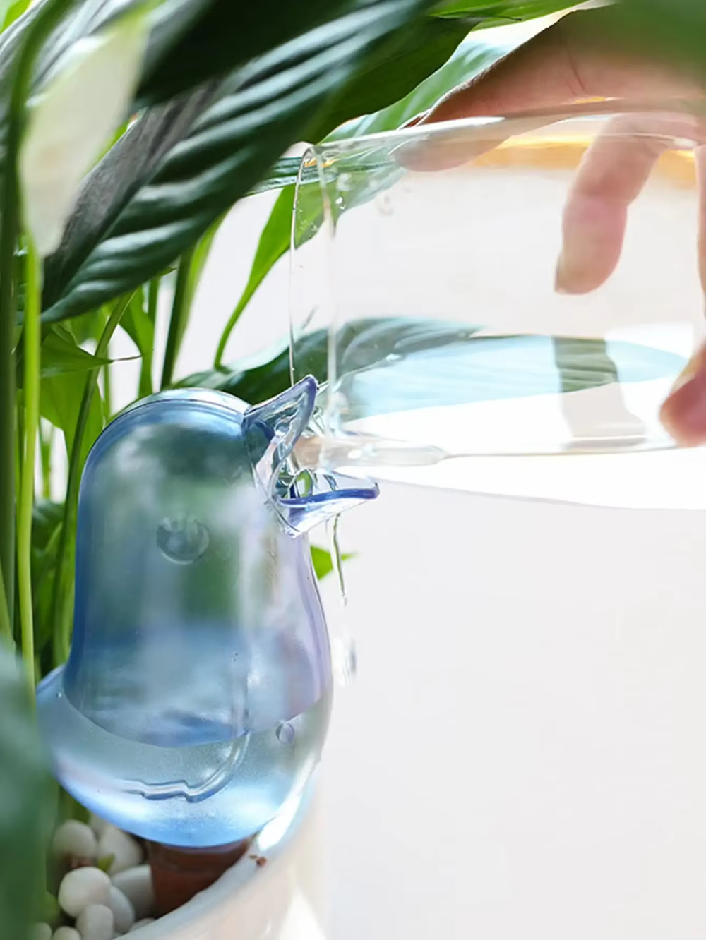 Automatic Flower Waterer, Self - Automatic Plant Waterer บทวิจารณ์และราคา