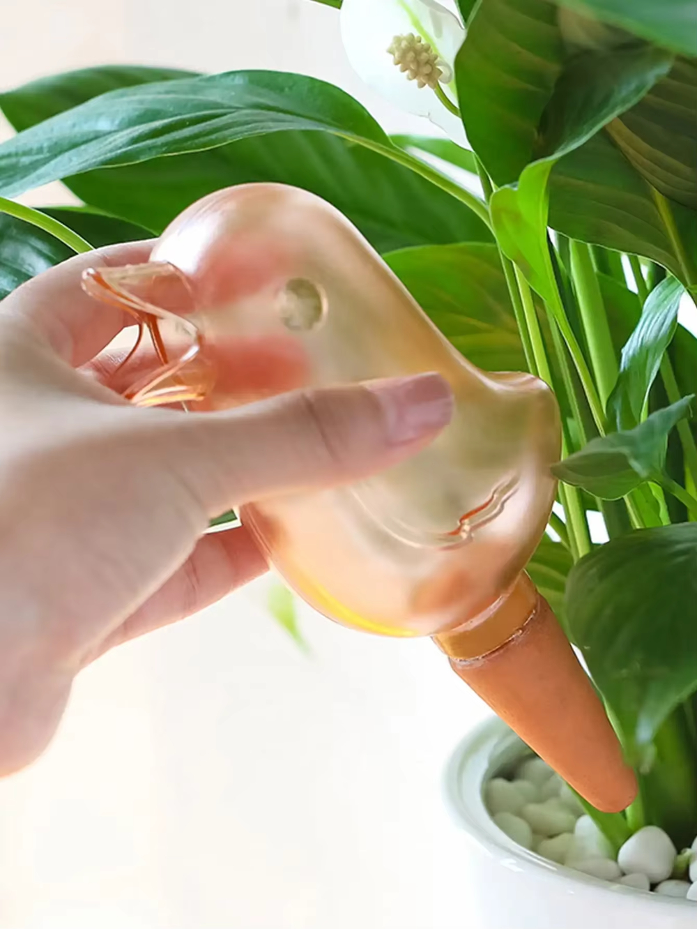 Automatic Flower Waterer, Self - Automatic Plant Waterer บทวิจารณ์และราคา