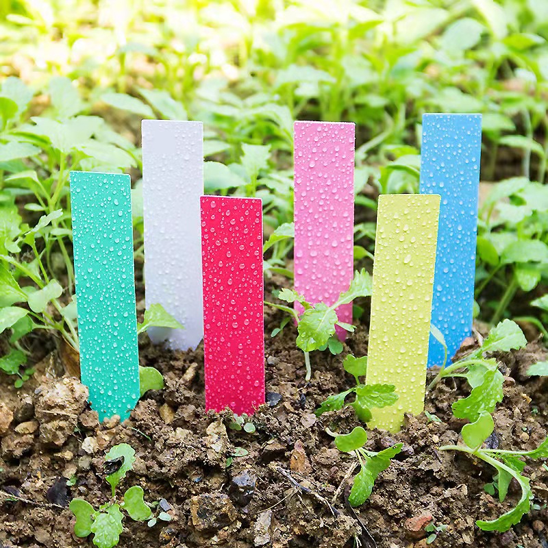 100Pcs Garden Plant Labels Pla - Plant Label Tags บทวิจารณ์และราคา