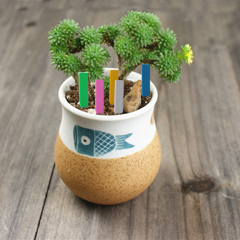 100Pcs Garden Plant Labels Pla - Plant Label Tags บทวิจารณ์และราคา