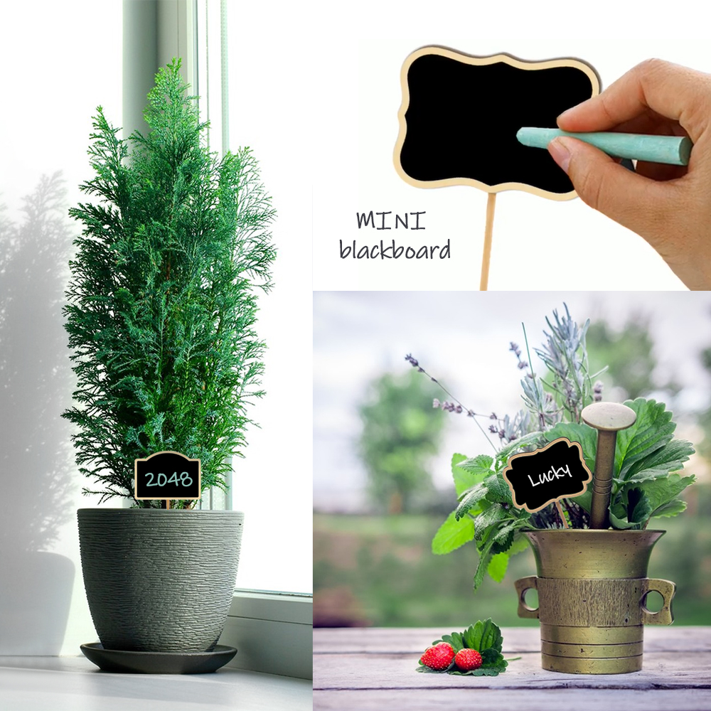 10PCS Wood Mini Chalkboard Sig - Plant Label Tags บทวิจารณ์และราคา