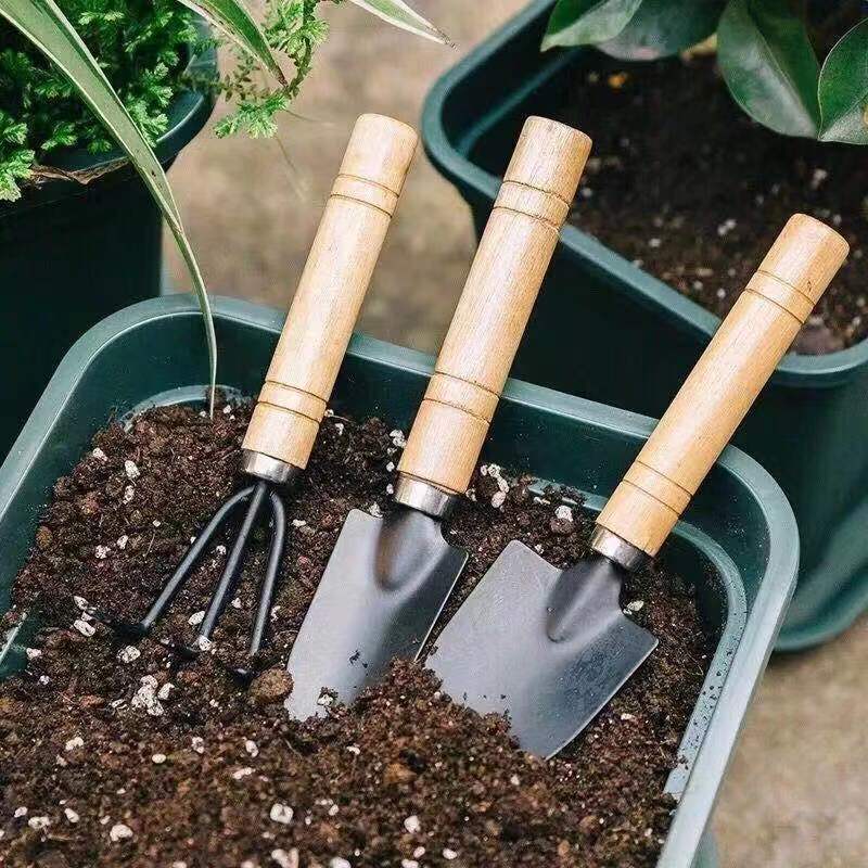 3PC/1Set Mini Gardening Tools  - Gardening Tools Gifts บทวิจารณ์และราคา