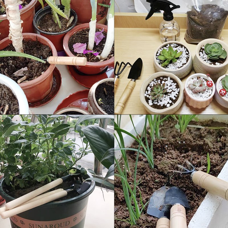 3PC/1Set Mini Gardening Tools  - Gardening Tools Gifts บทวิจารณ์และราคา