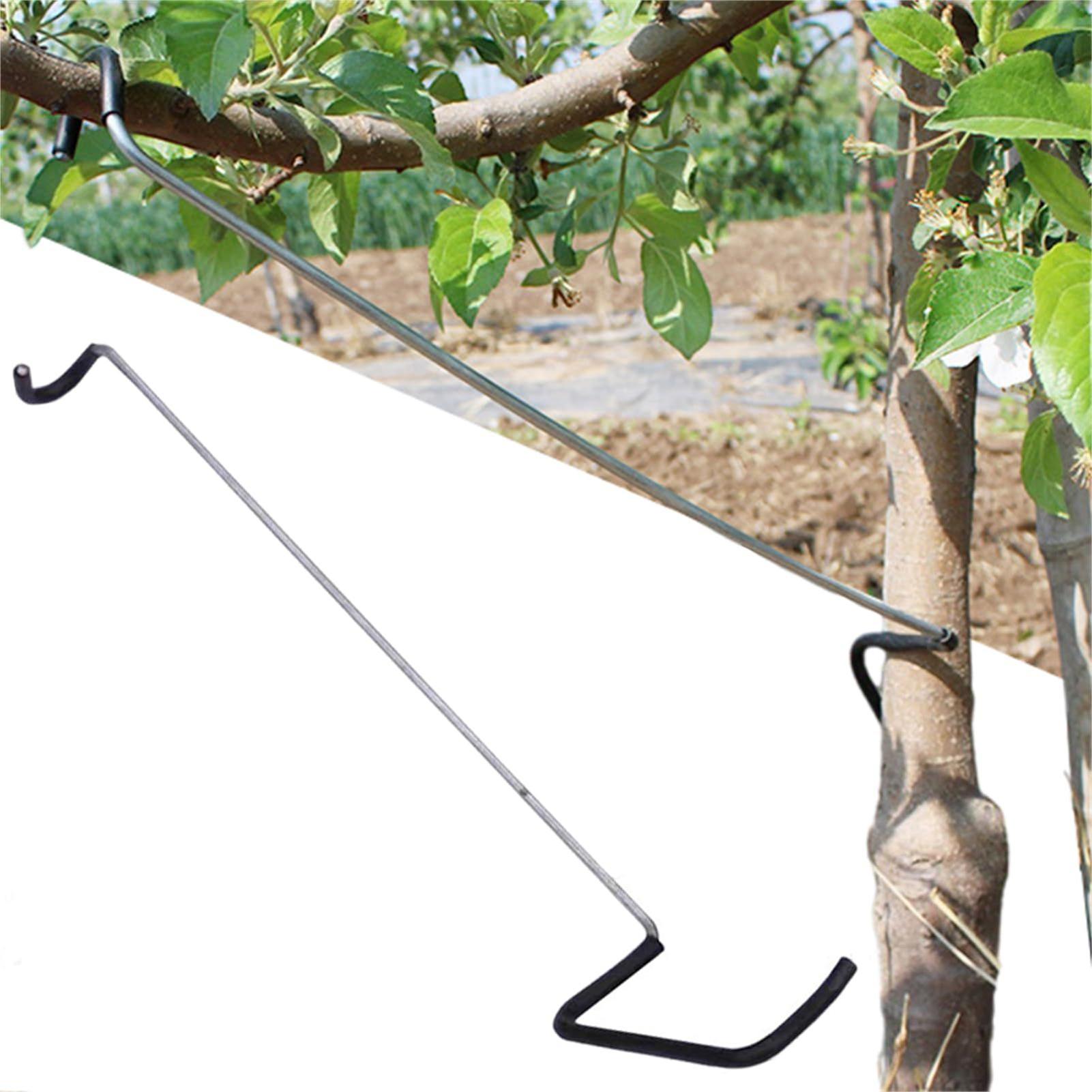 Fruit Tree Branch Spreader 10P - Gardening Tools Bundle บทวิจารณ์และราคา