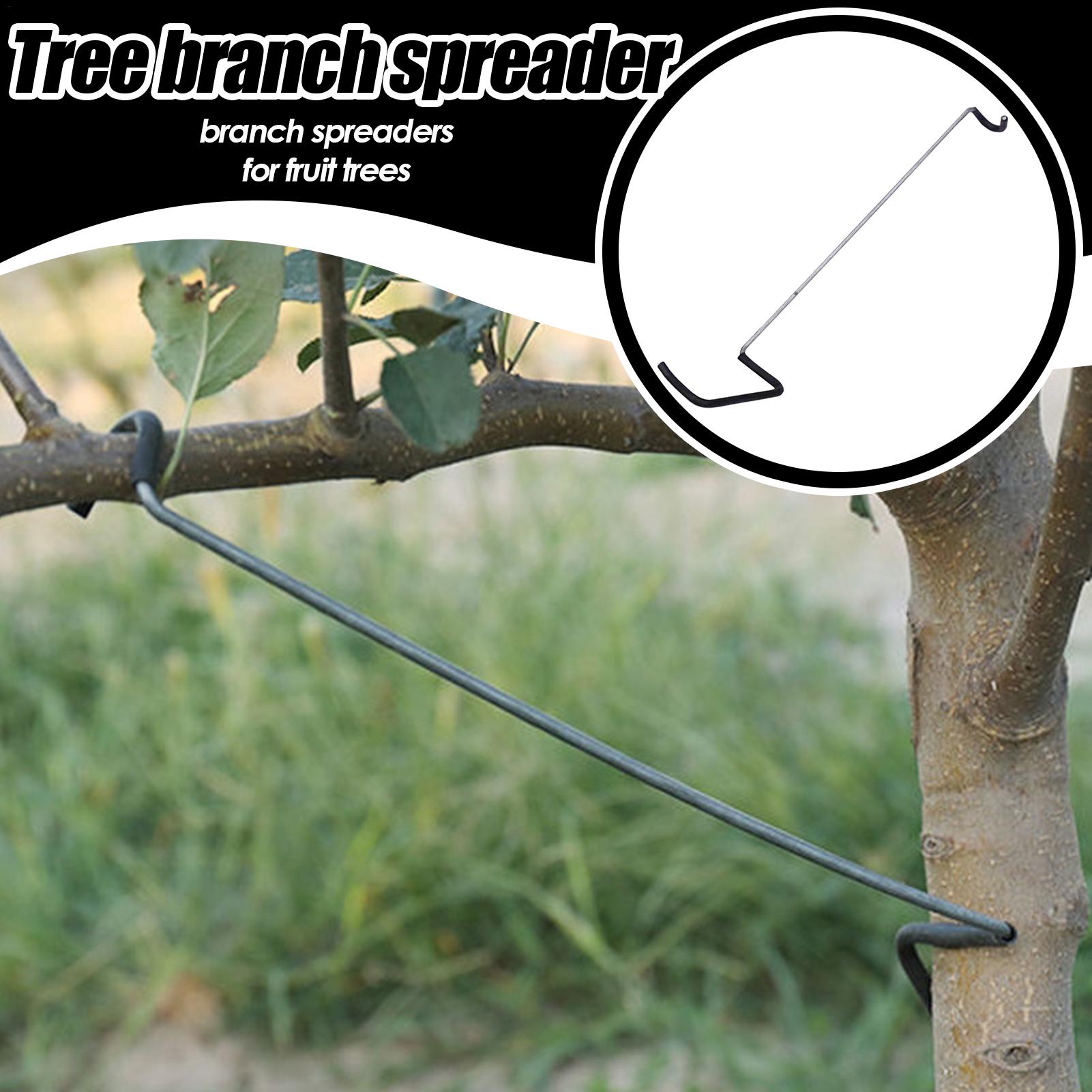 Fruit Tree Branch Spreader 10P - Gardening Tools Bundle บทวิจารณ์และราคา