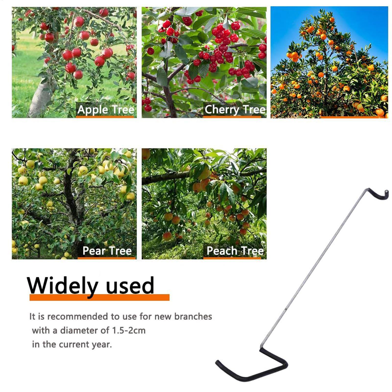 Fruit Tree Branch Spreader 10P - Gardening Tools Bundle บทวิจารณ์และราคา